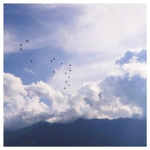 午夜福利无码免费转区
