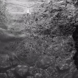 午夜福利无码免费转区
